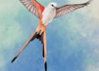 Wingspan