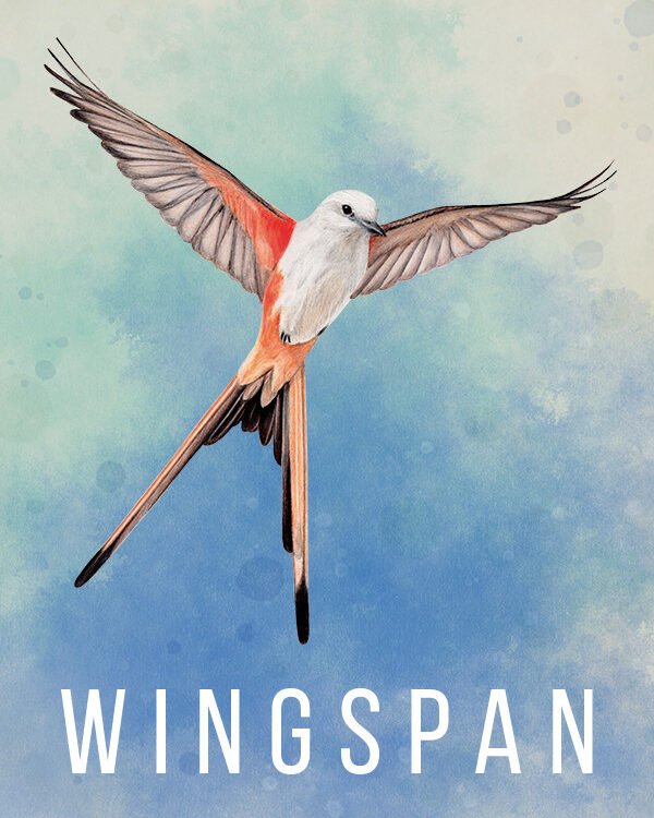 Wingspan
