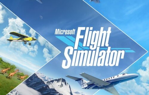 Microsoft Flight Simulator