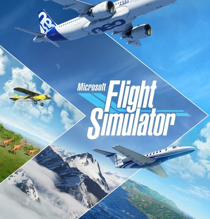 Microsoft Flight Simulator