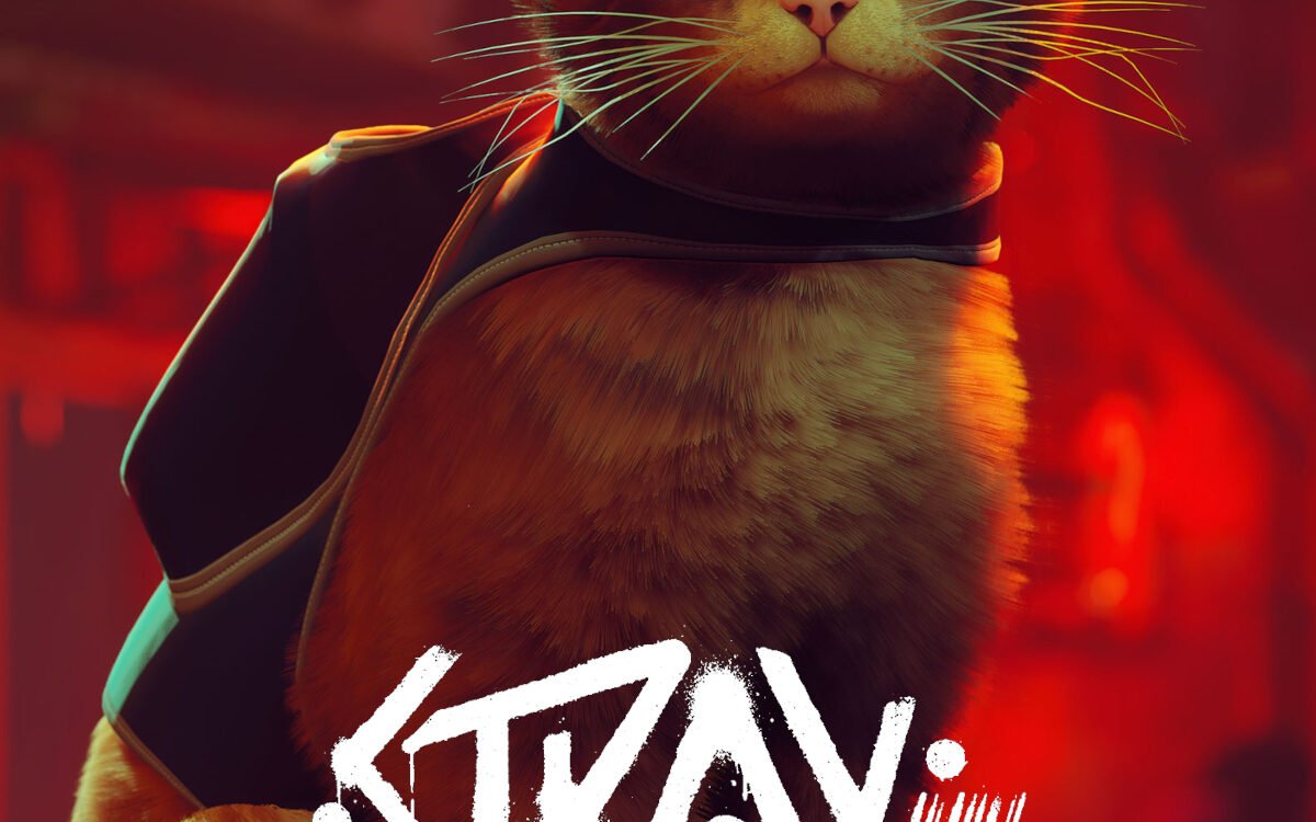 Stray