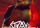 Stray