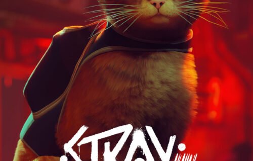 Stray