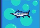 Chillquarium