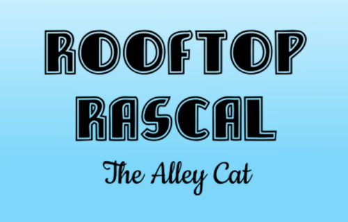Rooftop Rascal: The Alley Cat