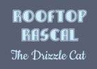 Rooftop Rascal: The Drizzle Cat