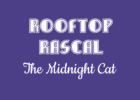 Rooftop Rascal: The Midnight Cat