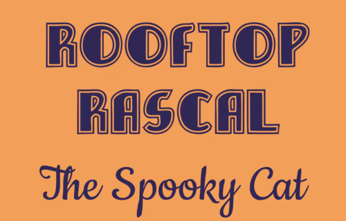 Rooftop Rascal: The Spooky Cat